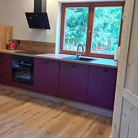 Pod Skala Apartment