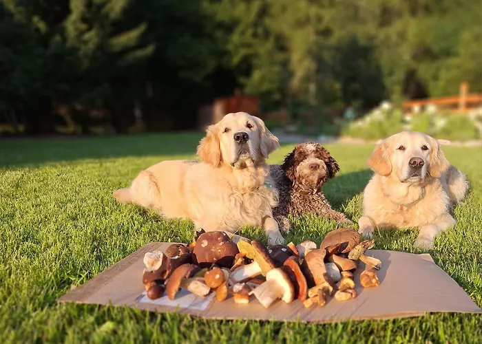 Pod Skala Lägenhet *